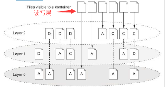 简述docker容器、docker镜像和网络